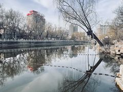 -文瀛公园