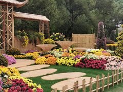 -上海共青森林公园