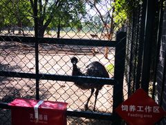 -北京麋鹿生态实验中心