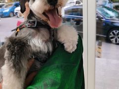 -宠福鑫康馨动物医院·骨科·眼科