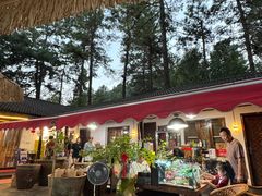 -小小饭店·休闲农庄·安吉松树林里的农家菜
