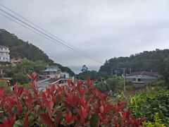 -花竹村
