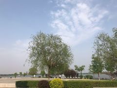 -武清南湖绿博园