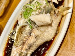 清蒸鲈鱼-樊城区沛公餐饮店(挑食拉美步行街店)