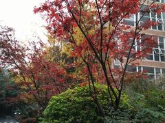 -重庆工商大学(南岸校区)