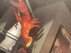 -东厨虾煌(电子街店)