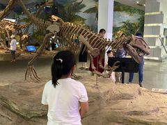 -自贡恐龙博物馆