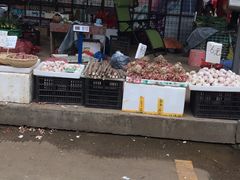 门面-清远三鸟海鲜农贸市场