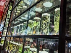 -广东中医药博物馆