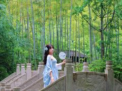 -宝岩生态观光园