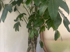 -李先生牛肉面大王(华联商厦店)