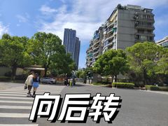 -猫里有甜