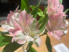 -一坐一忘云南菜(三里屯店)