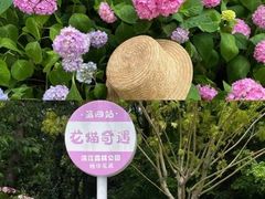 -上海滨江森林公园