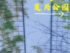 -复兴公园