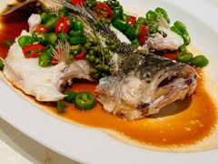 -悦海堂(金融街购物中心店)