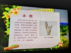 -金沙遗址博物馆