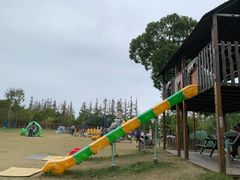 -上海长兴岛郊野公园