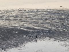 -北岐滩涂