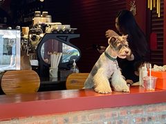 -URBAN SOI Thai Kitchen乐泰料理(长乐路店)