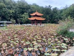 -富乐山