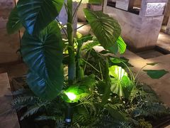 -浅深(北京北四环精品店)