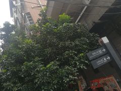-小洲村