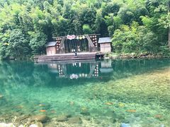 -祁门牯牛降观音堂风景区