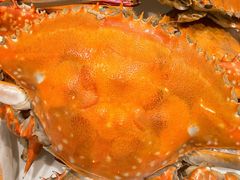 -北塘海鲜·天津菜(大光明桥旗舰店)