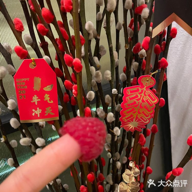 烧烤店的“爱马仕”哈哈 [胜利]