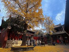 -长春观