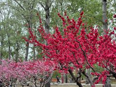 -元大都城垣遗址公园