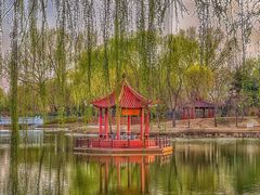 -东郊湿地公园