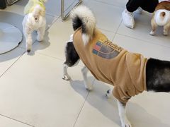 -怪兽屋·羊驼·猫咖·狗咖(俊华广场店)