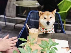 -Wagas沃歌斯(大学路店)