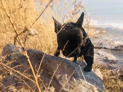 -天津东丽湖风景区