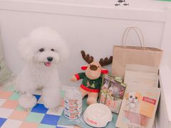 -瑞鹏·疫苗·绝育·宠物医院(金沙洲店)