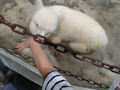 -上海大自然野生昆虫馆(东方明珠·爬宠昆虫探索中心)