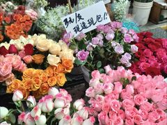 -循礼门鲜花花市(武汉循礼门店)