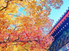 -香山公园-东宫门售票处