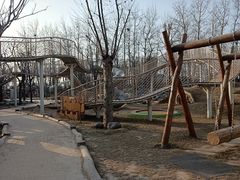 -金宝幼儿园(通州校区)