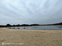 -上海月湖雕塑公园