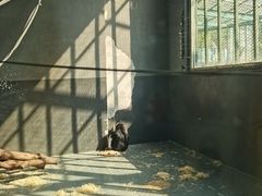 -无锡动物园·太湖欢乐园