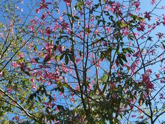 -碧桂园润杨溪谷温泉酒店