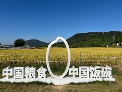 -艾米稻香小镇