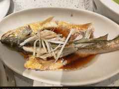 -小叫天泡椒活田鸡(儒江店)
