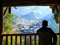 -杨家堂村