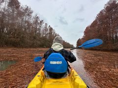 -上海海湾国家森林公园