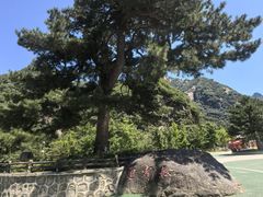 -秦岭终南山世界地质公园翠华山景区