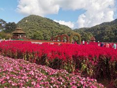 -广州市石门国家森林公园